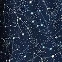 1950s Navy Star Constellation Print Swing Skirt