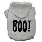 Boo Screen Print Hoodie - Many Colors